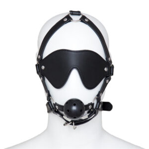 Harness Ball Gag With Blinder