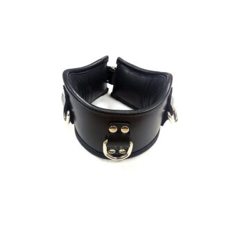 Leather Posture Collar