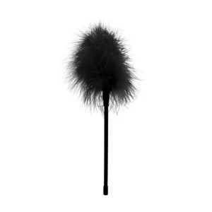 Feather
