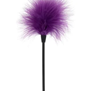 Sexy Feather Tickler Purple