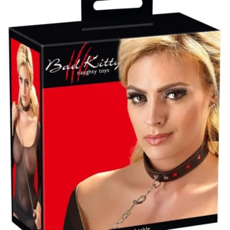 Collar and Leash