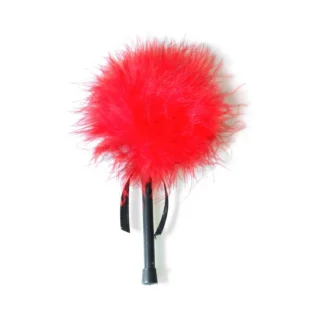Mini Whip Red Feather Tickler