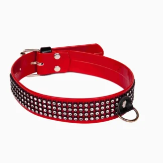 WHIPS Lacquer Bindings, Crystal-Embellished Women's Collar, Red, 3 cm