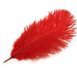 Soft Love Feather - Red