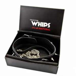 Whips Collection men's leather collar with half rings and leash