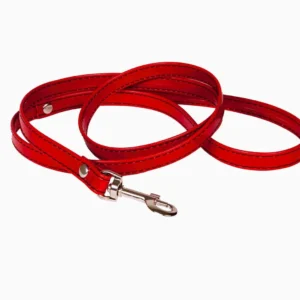 WHIPS Vegan Binding Lacquer Collar Leash, Red