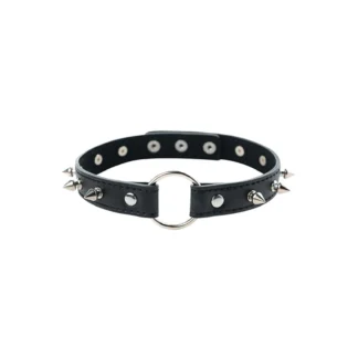 Adjustable Collar with Spikes