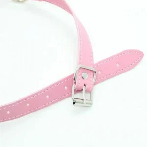 Toyz4Lovers Gag-Breathable Ball Ballgag in Pink
