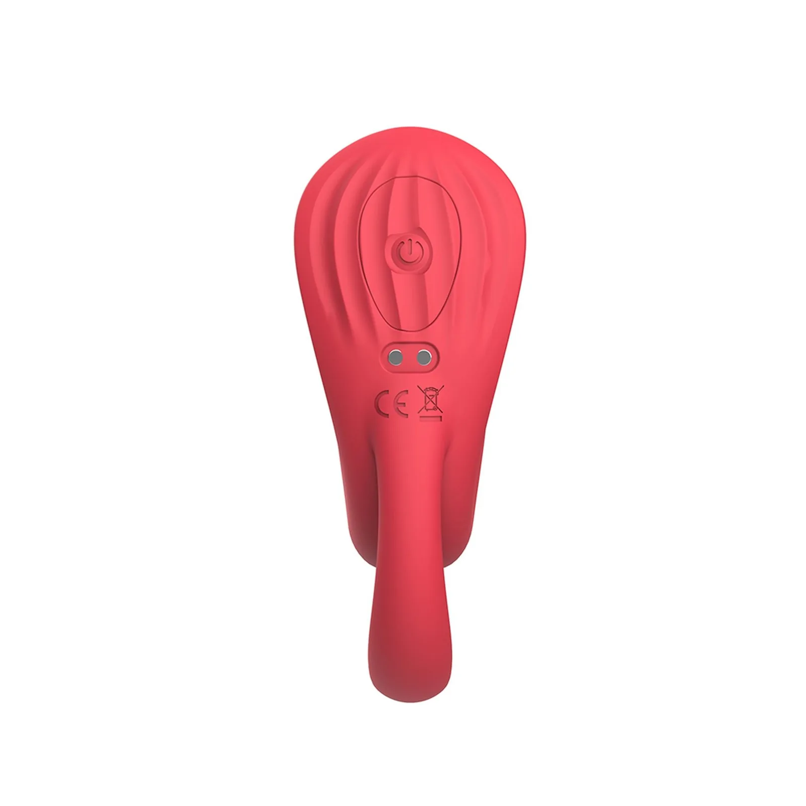 Acein - Image 4
