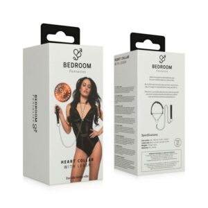 Bedroom Fantasies — Silver Collar with Leash