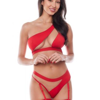GISELLE RED SET (top&thong/top&briefs) XXL/XXXL