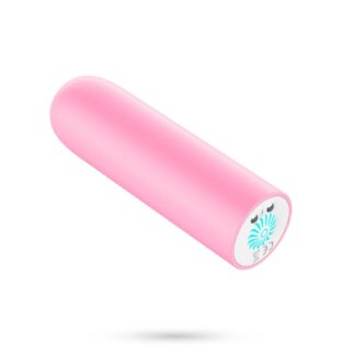 Quackers USB Rechargeable Vibrating Bullet Pink Crushious