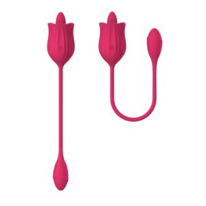 Stimulator - Licking Massager with USB Vibrating Egg, 10 Functions