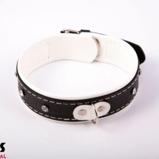 Bindings - Women's Collar 4 cm, White