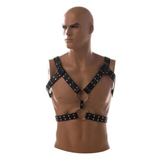 Adjustable chest harness