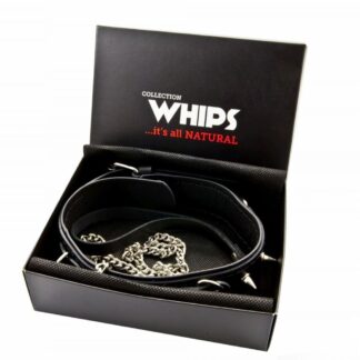 WHIPS Bindings men's collar with studs and leash