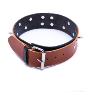 Bindings-WHIPS Men's Collar with Leash, Cognac-Colored