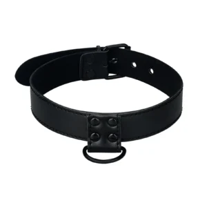 Lovetoy Black Matt Collar with Leash – Bondage Fetish Set