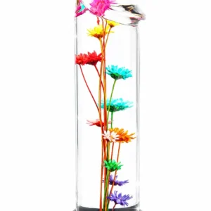 ToyJoy Bloomé Everlasting Bloom Dong – Dildo with Real Flowers