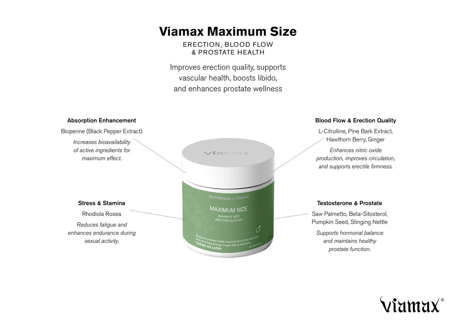 Viamax Maximum Size 60 Capsules